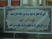 خانوم ها توجه کنند یا نباید برن بیرون اگر هم رفتند حتما به خودشون اسپری پهن گاو بزنن تا مورد عنایت پروردگار قرار گیرند