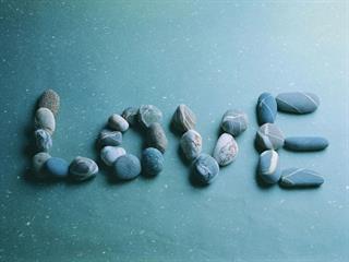 faaliyati dar morede shear