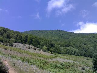 ايران شناسي