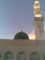 zdhrat