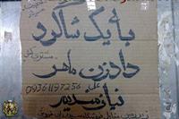 شغل جدید