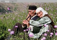 عشق ز ندست