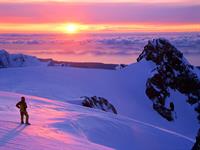 new zealand