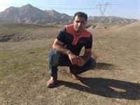 alireza