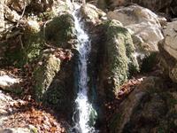 منظره
