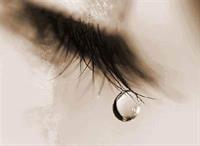 چشمه دیگه!!!اینم توضیح میخاد؟؟؟؟؟؟