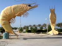 پارک ساحلی میگو