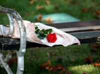 عشقی