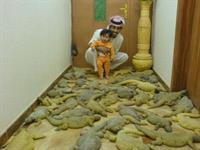وحشتناک