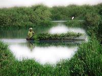 jangale rooye ab balouchestan 