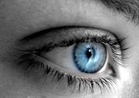 eye 03