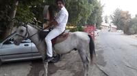 me and horse