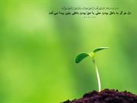 hadees
