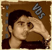 vahid - vbs