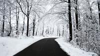 snowy