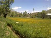 kohestan