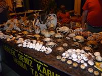 turkiye