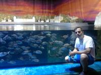 estanbul