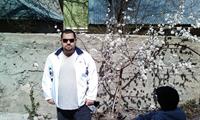 shahandasht