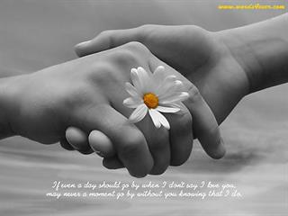 دوستانی ناب از سراسر ایران