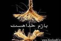 khoda hamishe hast