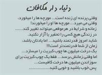 dare mokafat