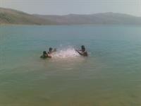 rozaye khoshe zendegi