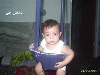 داداش امیر