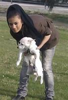 masoud