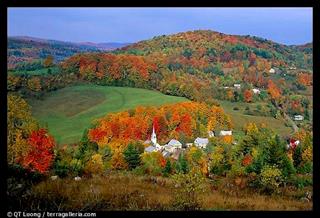 دوستي و صلح