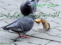 سلام  كوشش درراخدا