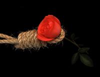 asire eshgh