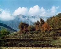 ایلام