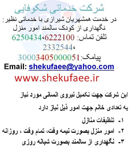 نگهداری از کودک ، سالمند، امور منزل