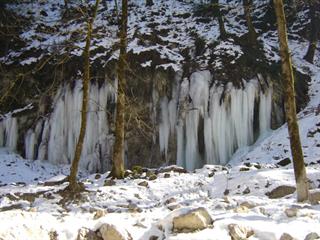 مشاورین صنایع غذایی و شیمیایی