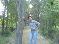 masoud