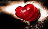 ø¯ù„ ø¨ù‡ ù‡ù€ù€ù€ø± ú©ù€ù€ù€ø³ ù…ø³ù¾ø§ø± !!!


ú¯ù€ù€ù€ù€ø±ú†ù‡ øœ ø¹ø§ø´ù€ù€ù€ù€ù‚ ø¨ø§ø´ø¯ 


ø­ú©ù… ø¯ù„ø¯ø§ø±ûœ øœ ùù‚ø· ø¹ø´ù‚ ú©ù‡ ù†ûœø³øª ... 


ø§ùˆ ø¨ø¬ù€ù€ù€ù€ø² ø¹ø´ù€ù€ù‚ ø¨ø§ûœø¯ 


ù„ø§ûœù‚ ø¹ù…ù‚ ù†ú¯ø§ù‡øª ø¨ø§ø´ø¯ 


ùˆ ú©ù…ûœ ù‡ù… ø¨ûœù€ù€ù€ù€ù€ù€ù…ø§ø± 


øªø§ ù†ú¯ø§ù‡ øªùˆ øªø³ú©ûœù† ø¨ø¯ù‡ø¯ ø±ùˆø­ø´ ø±ø§ ...


ø¯ù„ ø¨ù‡ ù‡ù€ù€ù€ù€ù€ø± ú©ù€ù€ù€ù€ø³ ù…ø³ù€ù€ù€ù€ù€ù¾ø§ø± ...!!!
