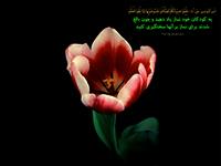حدیثی درمورد یاد دادن نماز به کودکان