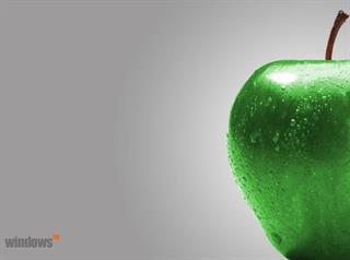 خاطرات و.....