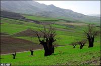 کرمانشاه