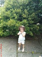eshghame mimiram barash

