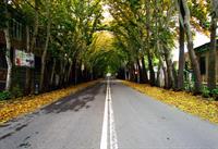 نمایی بسیار زیبا از خیابان امام شهرم
عکس از: علی معصومی