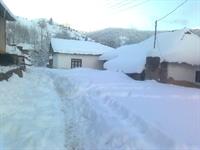 zendegh