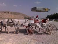 نمایی از پارسه