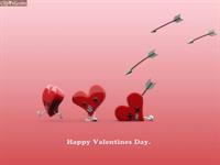 amiryuo@yahoo.com