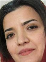 توضيحي ندارد