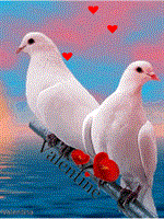 رسیدن یار