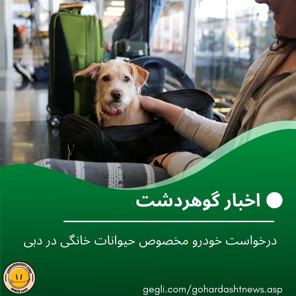 درخواست خودرو مخصوص حیوانات خانگی در دبی