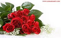 flower pic