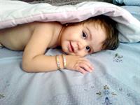 dayi fadash beshe